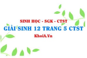 Giải Sinh 12 trang 5 Chân trời Sáng tạo